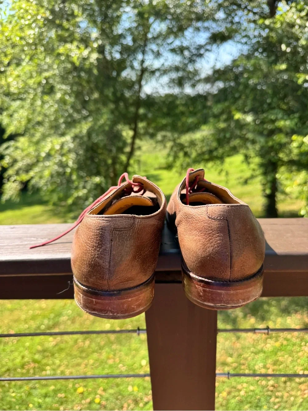 Cole Haan brown leather